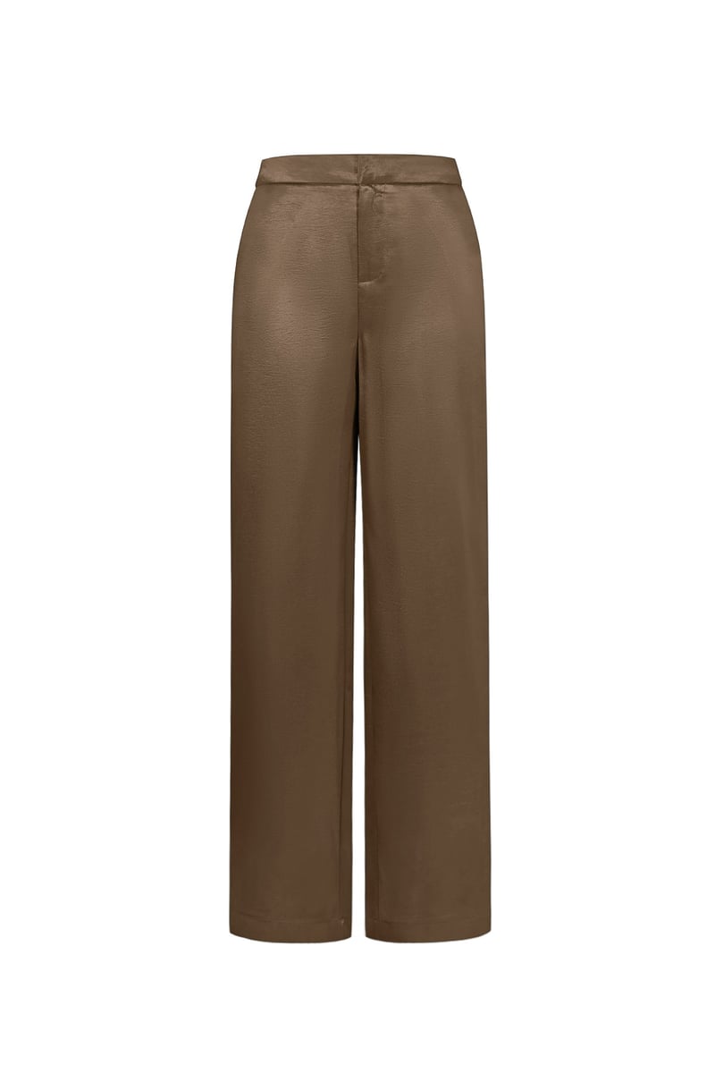 Silk Look Pants