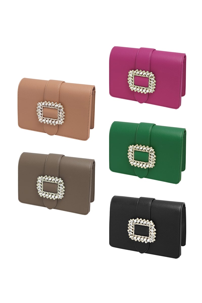 Bag buckle classy