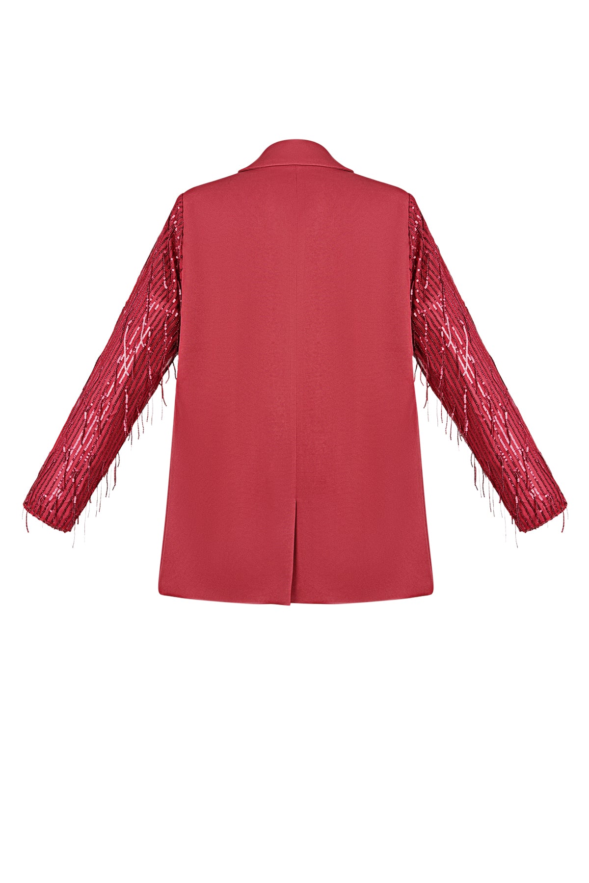 Blazer glitter sleeves